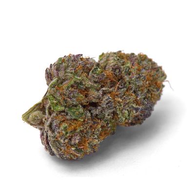purple dosi punch Feminized cannabis seeds by Growerschoice.