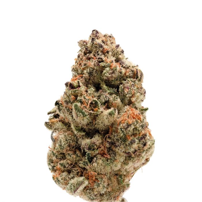 Rainbow candy indica dominant feminized cannabis seeds from growerschoice